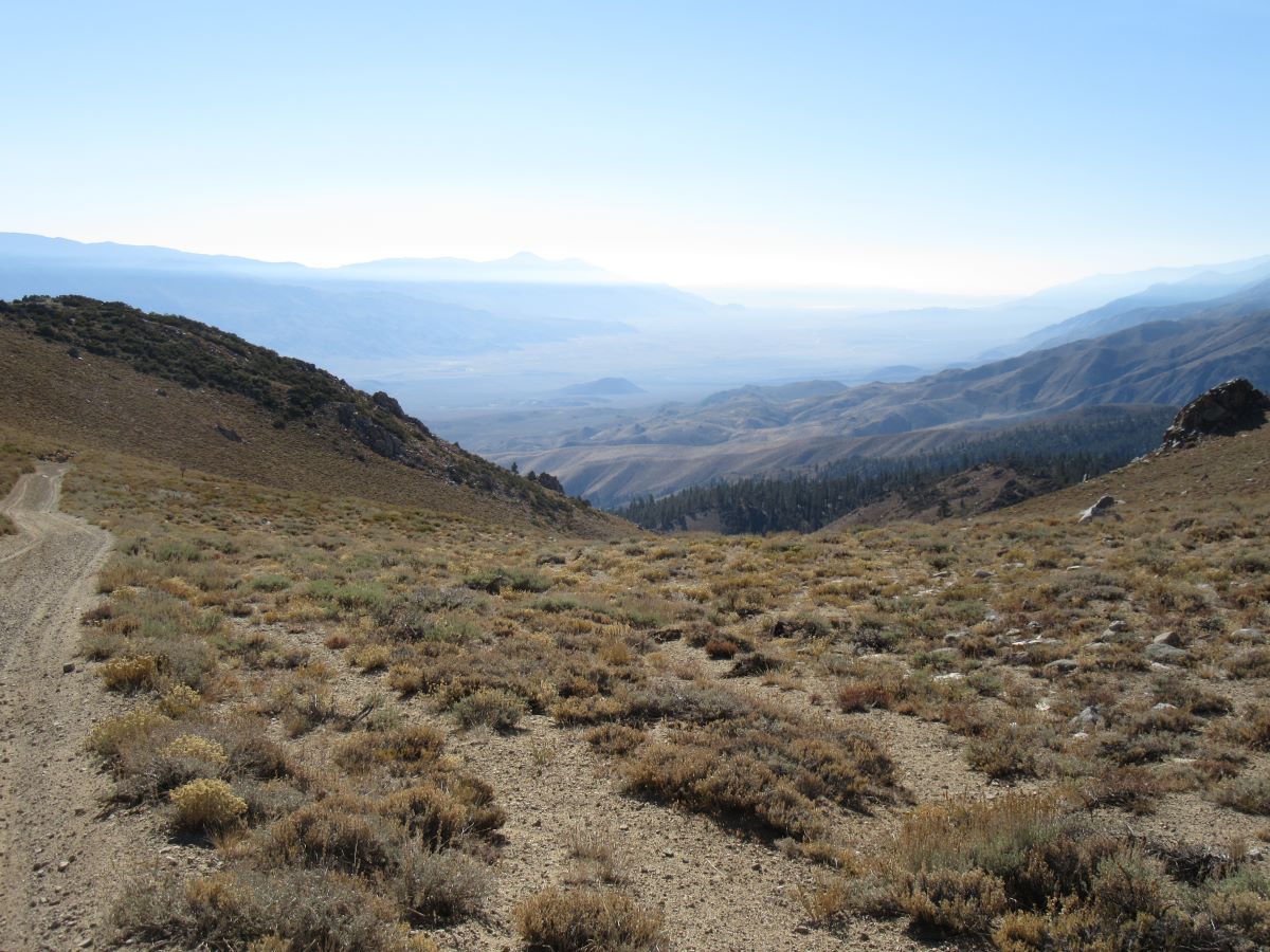 IMG_7228.jpg