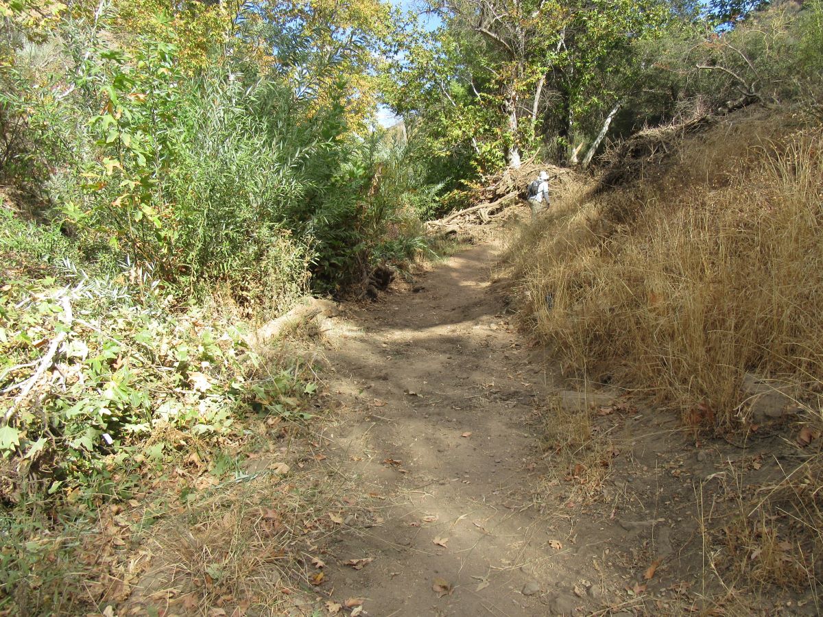 IMG_7391.jpg