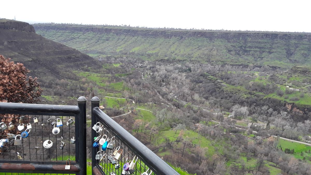 20190309_111046.jpg