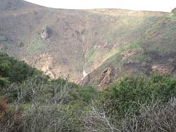 IMG_8826.jpg
