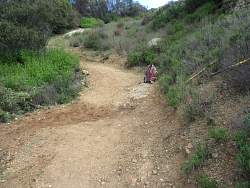 IMG_8845.jpg