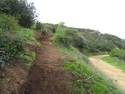 IMG_8853.jpg