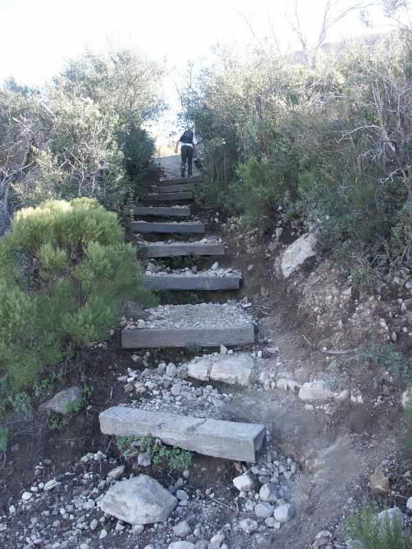 PICT2343.jpg