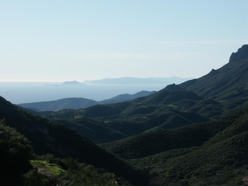 PICT2372.jpg
