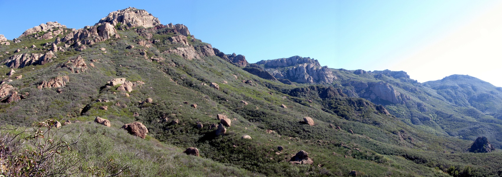 aSTA_1067pan.jpg