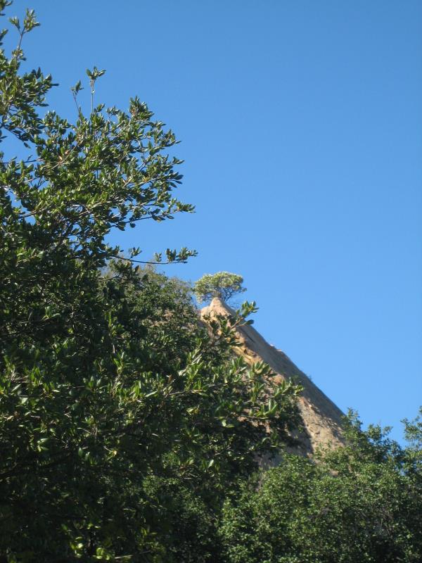 2008-10-19 Cold Creek High Trail 004.jpg