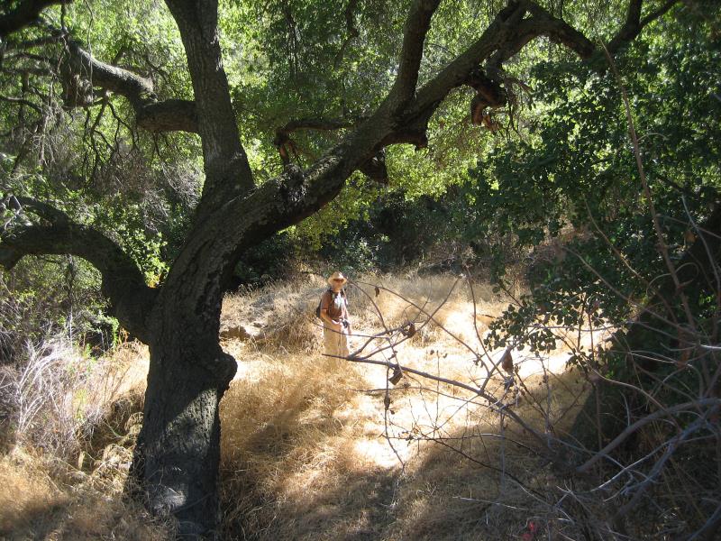 2008-10-19 Cold Creek High Trail 015.jpg