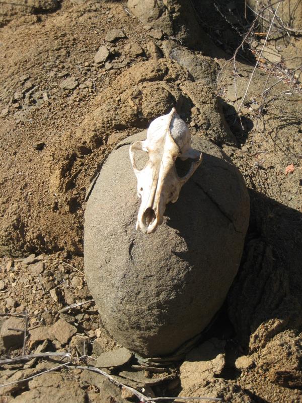 2008-10-19 Cold Creek High Trail 038.jpg