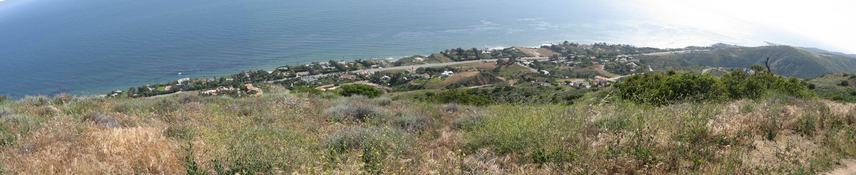 STA_7938pan.jpg