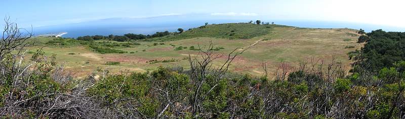 STA_7934pan.jpg