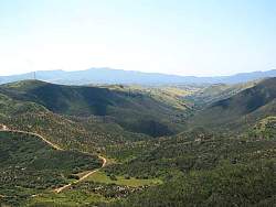 IMG_6155.jpg