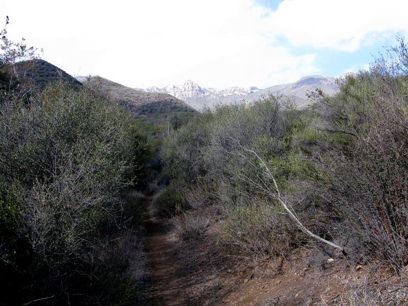IMG_0115.jpg