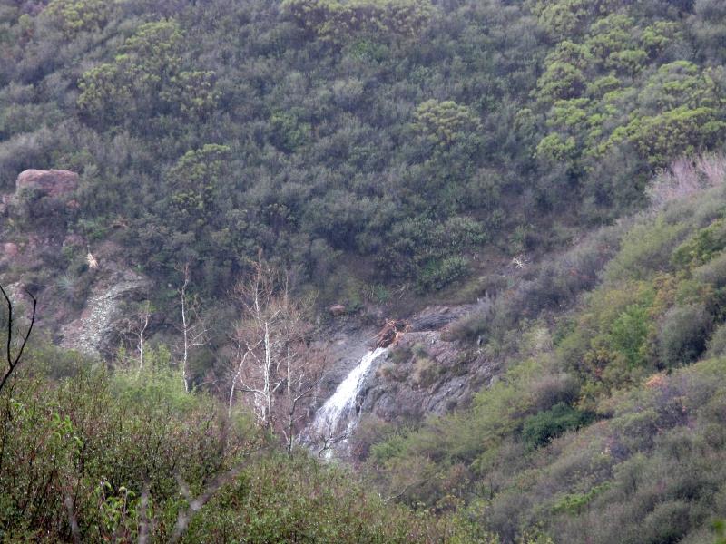 IMG_0511.jpg