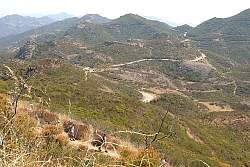 IMG_0960.jpg