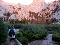 Lindyhikinginmeadow.jpg