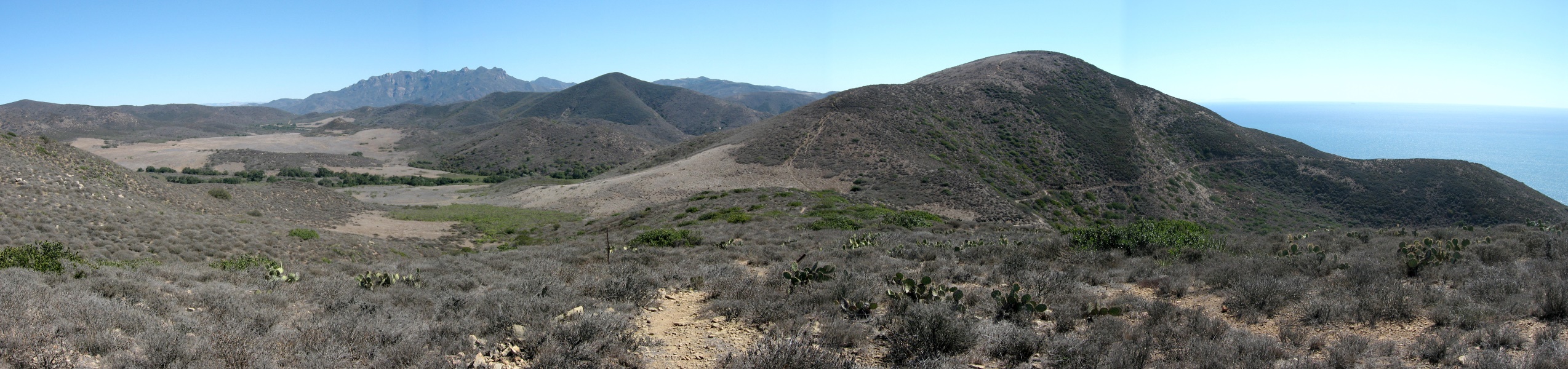 _STA_7089pan.jpg