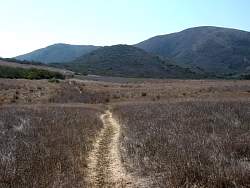 IMG_7075.jpg