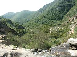 PICT2790.jpg