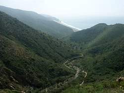PICT2807.jpg