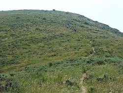 PICT2828.jpg