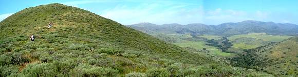 _Sta_3142Pan.jpg