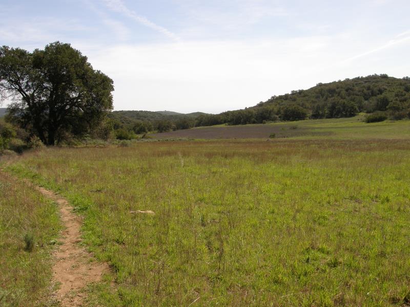 P3020244.jpg