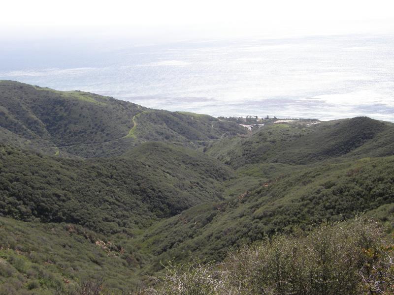 P3020256.jpg