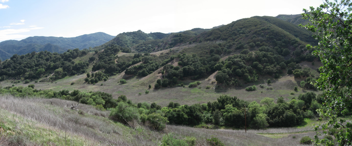 STA_4979Pan.jpg