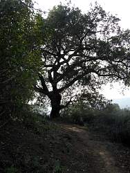 IMG_4895.jpg