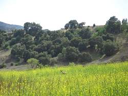 IMG_4974.jpg