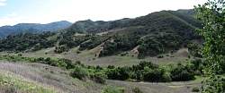 STA_4979Pan.jpg