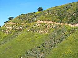 IMG_6014.jpg
