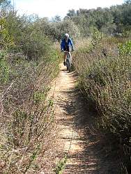 IMG_8077.jpg