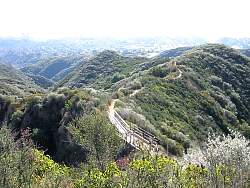 RogersRdIMG_1335.jpg