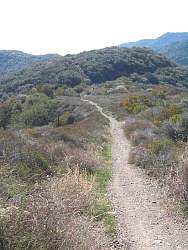 RogersRdIMG_8036.jpg