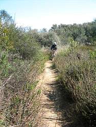 RogersRdIMG_8081.jpg