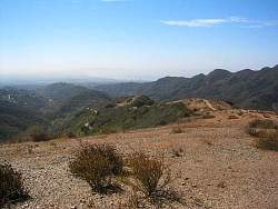 IMG_0527.jpg
