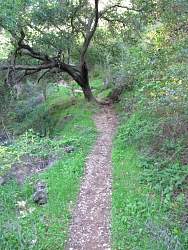 IMG_6767.jpg