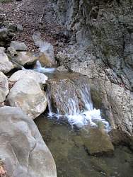 IMG_6779.jpg