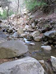 IMG_6780.jpg