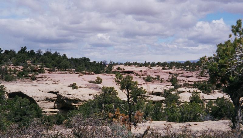 06450001.jpg