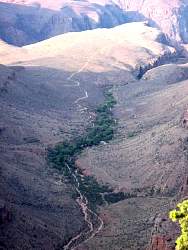 IMG_6570.jpg