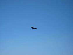 IMG_6586.jpg