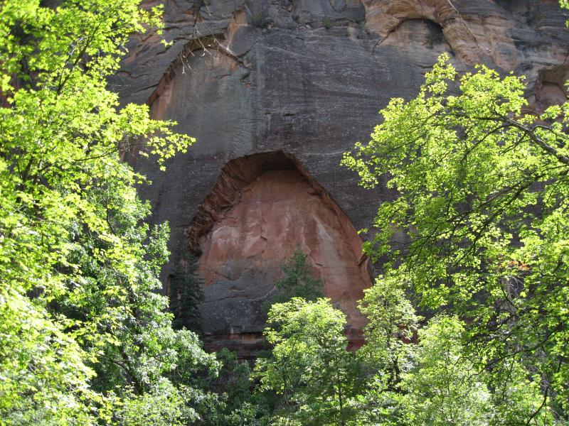 IMG_6908.jpg