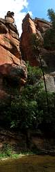 img_6904Pan.jpg