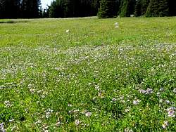 IMG_0631.jpg