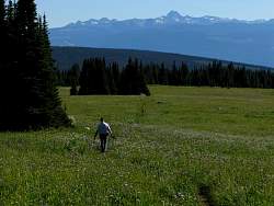 IMG_0647.jpg