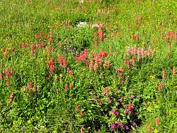 IMG_0651.jpg