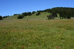IMG_3018.jpg