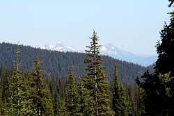 IMG_3024.jpg